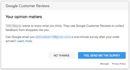 Google Customer Reviews opt in