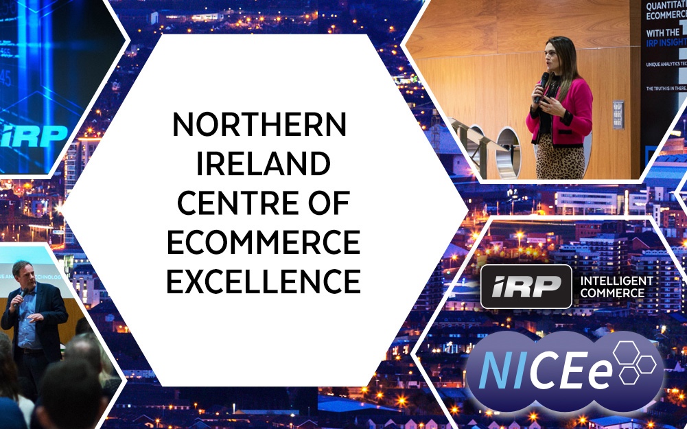 NI Centre of Ecommerce Excellence to the IRP