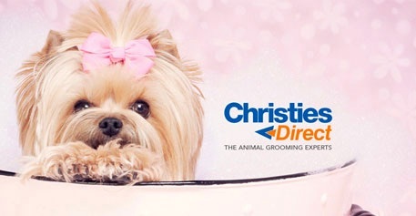 Christies Direct