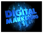 Ecommerce Sales Channel: Digital Marketing Capabilities